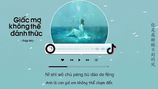 [Vietsub] Giấc Mơ Không Thể Đánh Thức (Full Tiktok) - Thập Nhị! | 醒不来的梦 - 拾贰！