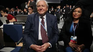 David Attenborough speaks at UN conference