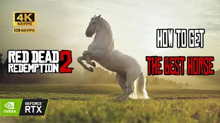 [4K UHD] RED DEAD REDEMPTION 2 | HOW TO GET BEST HORSE | [4K PC] -  RTX 3090 | No Commentary