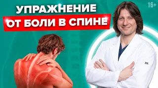 Лучшее упражнение от боли в грудном отделе позвоночника #Shorts