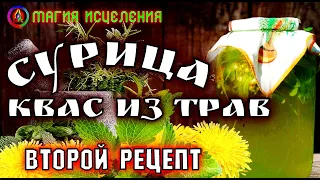 Сурица, как приготовить Квас из трав | Второй рецепт приготовления Солнечного напитка, квас из меда