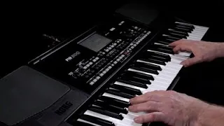 KORG Pa300: Calidad de Sonido excepcional