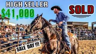 THE ROPE HORSE SALE WICKENBURG AZ | 2023