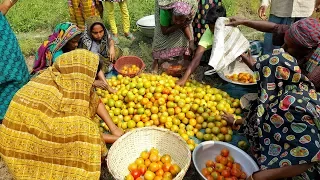200 KG Tomato Pickles Cooking For Kids & Villagers - Tasty Spice Tomato Chutney Prepared By Women