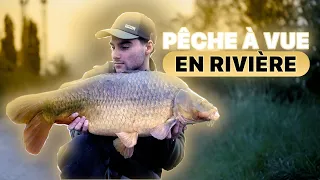 PECHE À VUE EN RIVIÈRE - PECHE À LA CARPE