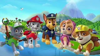 Paw Patrol Finger Family Songs - Daddy Finger Nursery Rhymes