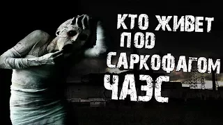 Страшные истории на ночь - Кто живет под саркофагом ЧАЭС