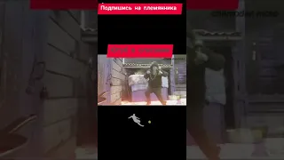 Chemodan_nicko-ГОРИН vs ГИТЕЛЬМАН