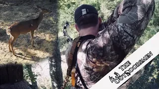 PICTURE PERFECT SELF FILMED Archery Doe Management Hunt | Early Season 2019 Kentucky Bow Kill