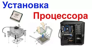 Как установить или заменить процессор на компьютере !!! Самоделкин !!!