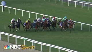 2024 Pegasus World Cup Invitational Turf (FULL RACE) | NBC Sports