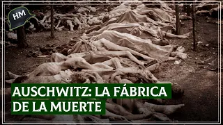 Así FUNCIONABA el campo de exterminio más GRANDE de la historia | 2° Guerra Mundial