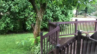 Squirrel Fails Jumping to Bird Feeder - Funny Animal Video