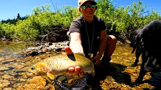 Hiking Into The Clearest River I’ve Ever Seen | Idaho Fly Fishing