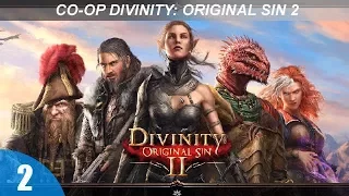 Кооператив Divinity: Original Sin 2 - Крокодилий балет- #2