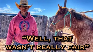 YEARLING round pen work w/colt starter HENSON WINN