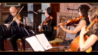 ALMA PROJECT 24/7 - SC String Quartet -  Moonlight Shadow  (Mike Oldfield)