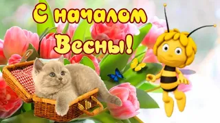 С началом весны! Принесет пускай весна радость, счастье, позитив! Поздравления с началом весны!