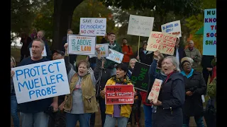 Trump pop up protest in Marshall Park one of several across country