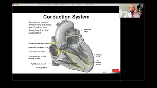 PrISM Body Structures-Lungs and Heart lecture