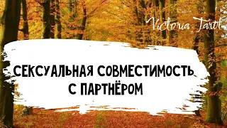 Ваша сексуальная  совместимость с партнёром. Насколько вы совместимы? Расклад таро 🔮