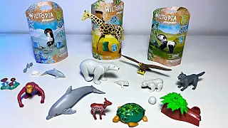 Sea Animals, Wild Animals, Collection - Dolphin, Seal, Polar Bear, Eagle, Wolf, Sea Turtle, Giraffe