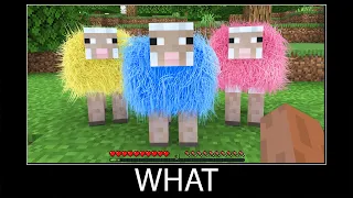 Minecraft wait what meme part 64 realistic minecraft sheep fur colors