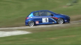 Patrick Baumegger PBRacing206RC  Bergrallye Cup Race Hillclimb