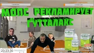 МОПС ПОД ГУТТЕЛАКСОМ!!!