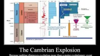 The Cambrian Explosion (Remastered)