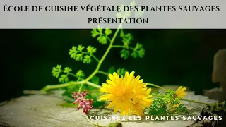 Présentation de l'école de cuisine végétale des plantes sauvages