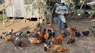 ELE VIVE NA SUA CASA DE MADEIRA SOZINHO NO SÍTIO...SEU ARGEMIRO