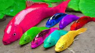 Colorful Baby Fish Animation, Pink Fish, Rainbow Catfish/ Funny Mukbang | Stop Motion Cooking ASMR