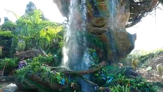 First look at Disney World's Pandora -- The World of Avatar | ABC News