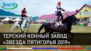 Терский конный завод «Звезда Пятигорья 2019»