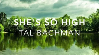 She's So High by Tal Bachman (w/ lyrics)