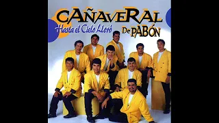 GRUPO CAÑAVERAL MIX SUS MEJORES ÉXITOS