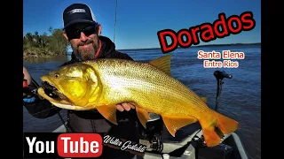 Dorados en Baitcasting  ( Excelente pesca en Santa Elena Entre Rios , con los Felipes)