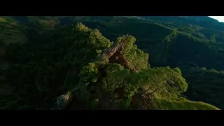 FPV Drone Adventure: Rocky Forested Slopes of Tenerife from Above