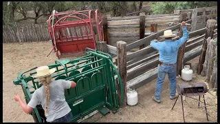 Demonstration Use of a Manual Calf Table