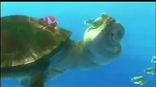 Finding Nemo (2003) Turtle Scene Part 1