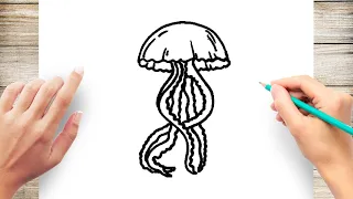 How to Draw Jellyfish