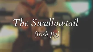 The Swallowtail (Irish Jig) on Button Box Accordion