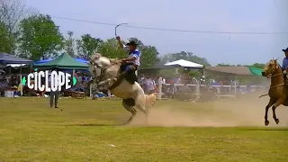 Cíclope. Jineteadas: ¿Tradición o maltrato animal?