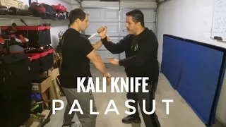 Kali Knife - Palasut in Detail