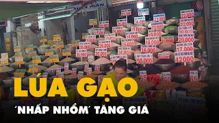 Tin tức sáng 31-7: Việt Nam có số người mắc bệnh lao 'top' 30 thế giới; Giá gạo nhấp nhổm tăng