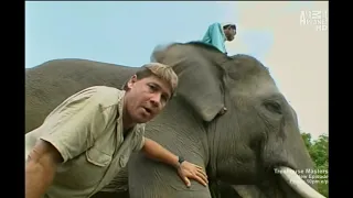 The Crocodile Hunter - Best Of Steve Irwin - S03 E09