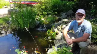 Locating a leak in your pond