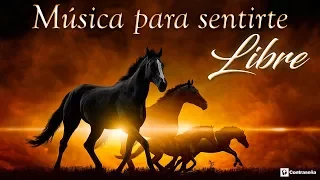 Música para Sentirse Libre, Musica Instrumental, Musica Relajante, Para Trabajar, Musica de Fondo