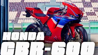 Honda CBR600 - Historia y Regreso